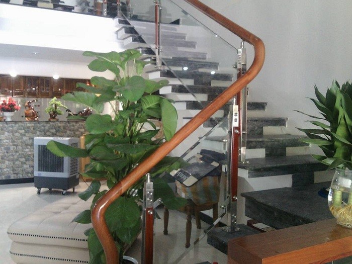 thi-cong-cau-thang-kinh